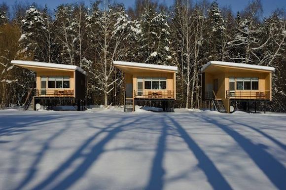 Birdhouse Cabins