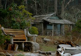 Small house in the woods